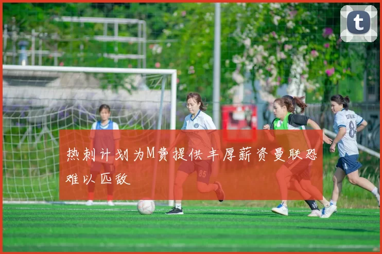 热刺计划为M费提供丰厚薪资曼联恐难以匹敌