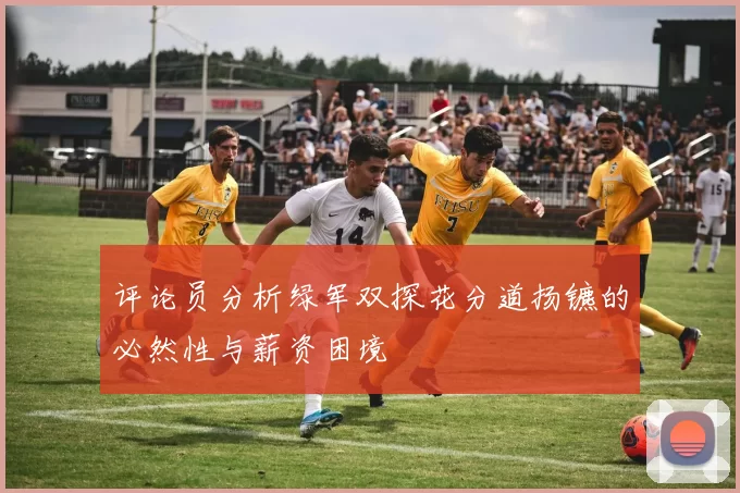 评论员分析绿军双探花分道扬镳的必然性与薪资困境